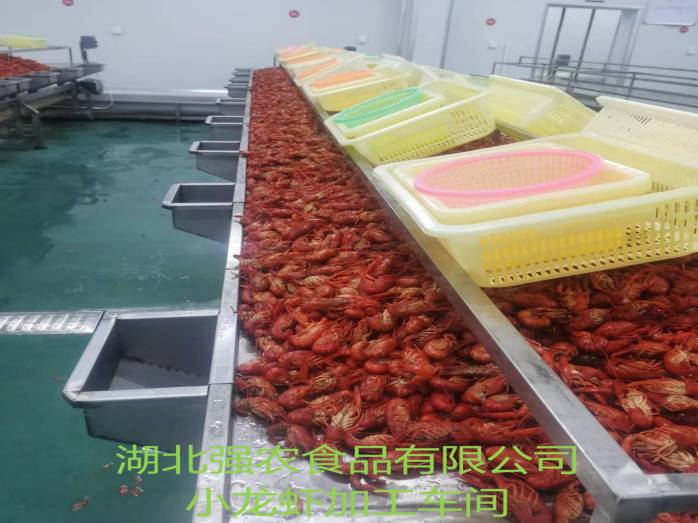 k8凯发(中国)天生赢家·一触即发