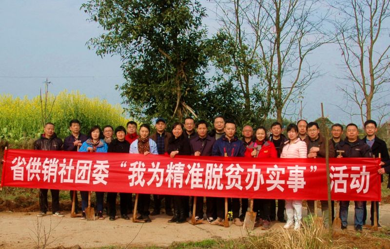 k8凯发(中国)天生赢家·一触即发